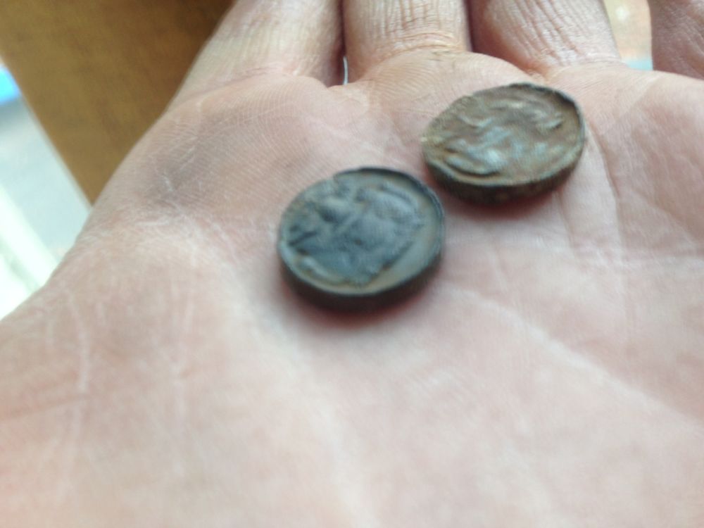 Unknown-Squirell-Coins-Found-In-North-Eastern-USA
