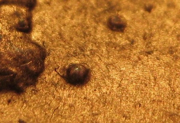 What-Are-These-Bubbles-On-My-1983-LMC