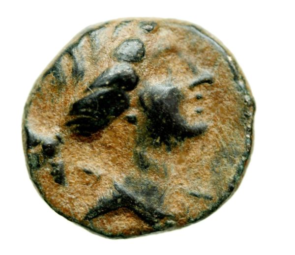 Can-Anyone-Identify-This-Ancient-Greek-Coin?