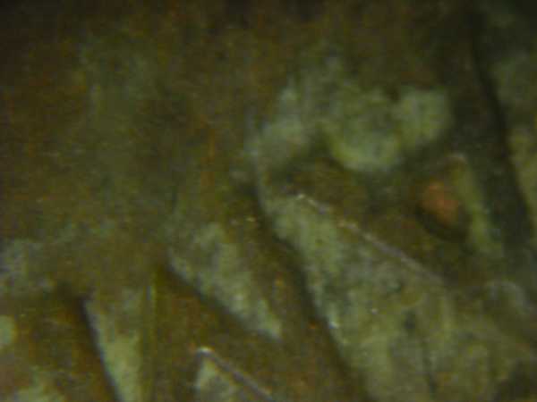 1996-Lincoln-Cent-