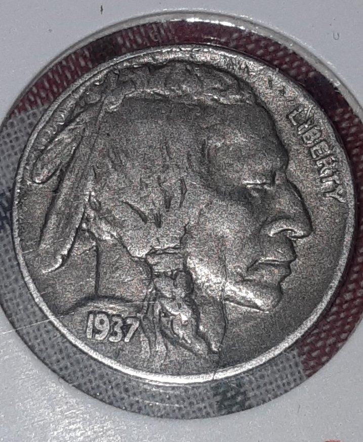 Buffalo-Five-Cents-1937-For-Grading
