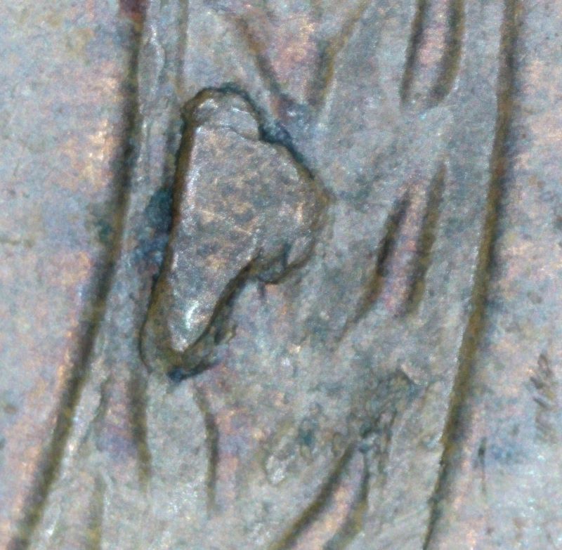 1955-Lincoln-Cent-Reverse-Error's?
