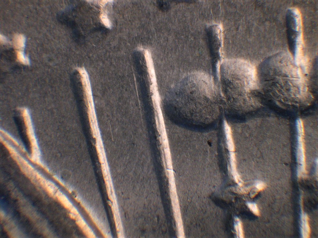 1972-D-Kennedy-Half-Dollar-DDO