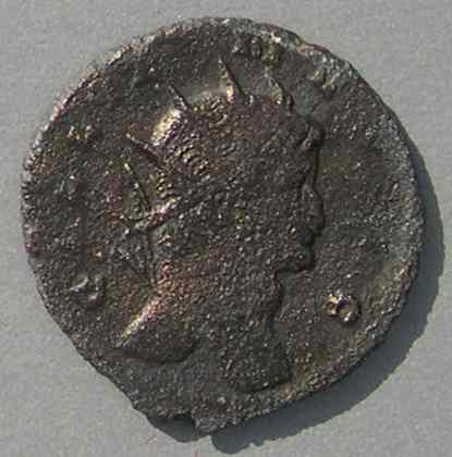 Gallienus'-Zoo