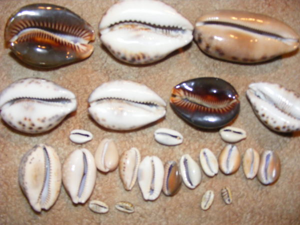 Maybe-The-Greatest-Hobby-On-Earth..coin-Collecting?