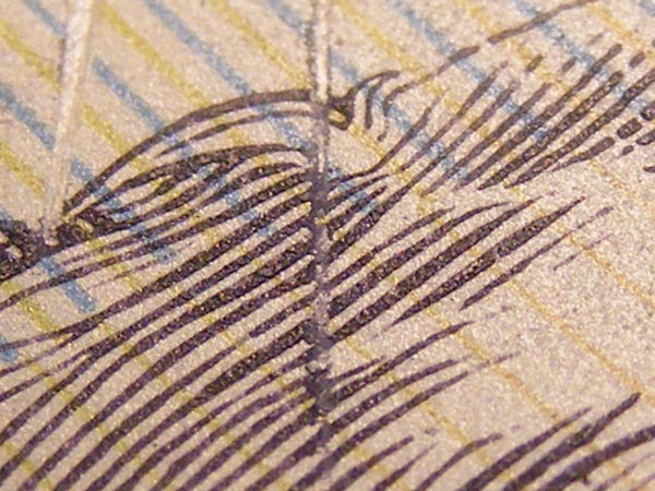 $50-Aa04-Error,-Is-It-Rare?