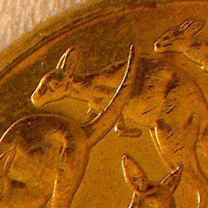 2013-$1-Stabbed-Roo!