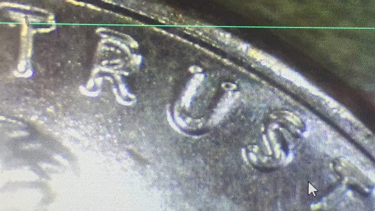 OK-My-First-Item..-2017-P-DDO-Lincoln-Cent