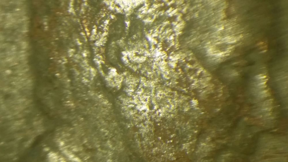 Loomis-Coin-Roll-Hunting...-1984-Double-Ear?
