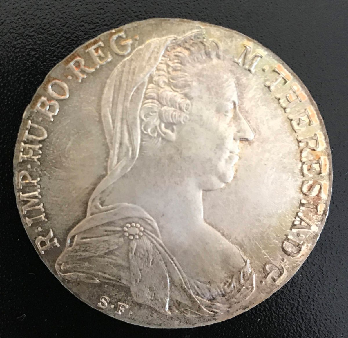 Please-Help-Me-To-Identify
