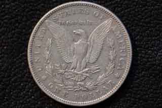 Newby-1878-Morgan