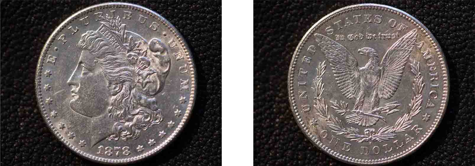 Newby-1878-Morgan