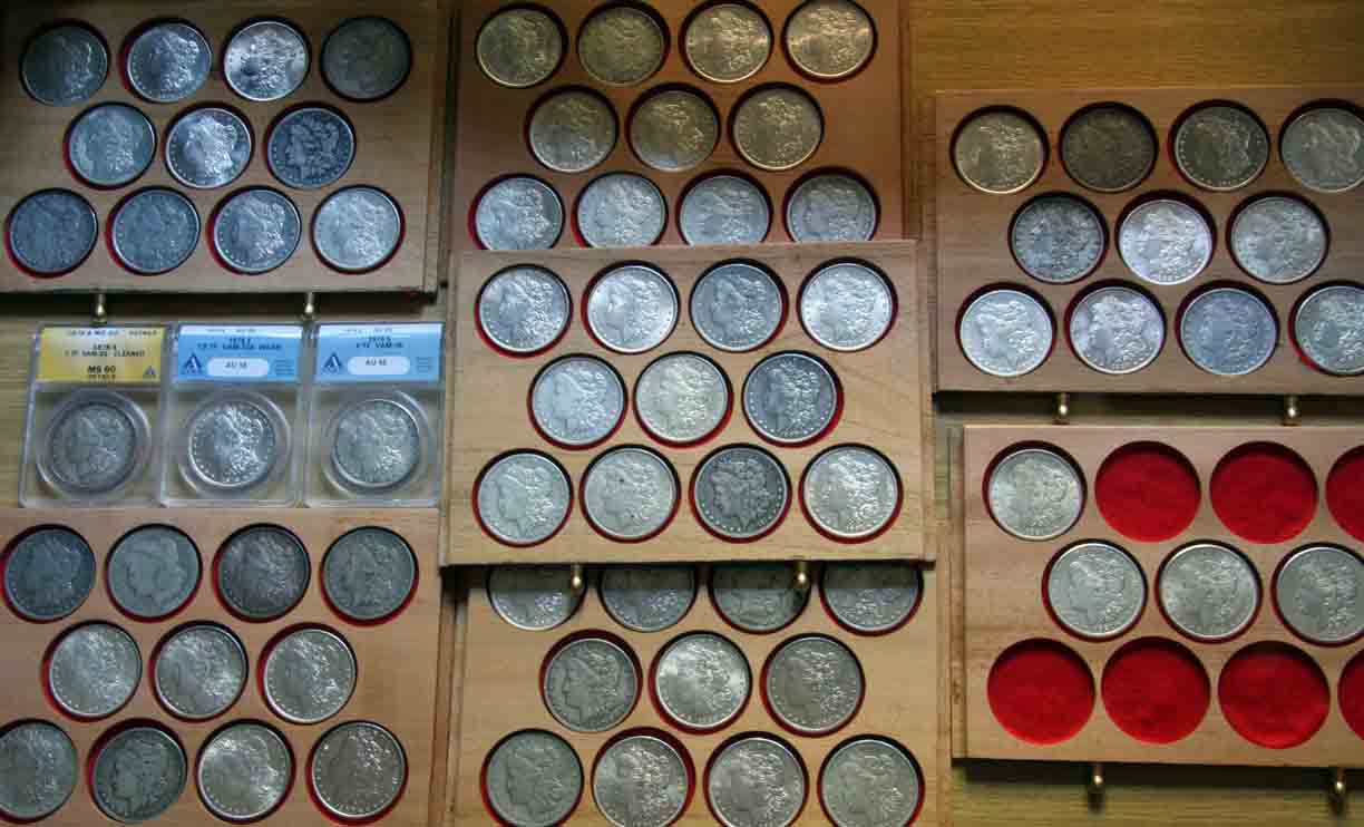 Share-My-Collection-Of-Morgans