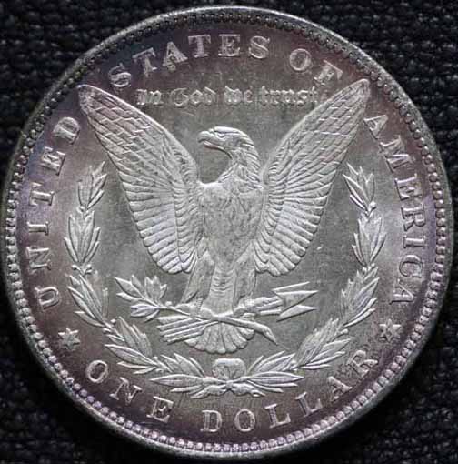 28-Days-Of-Morgans