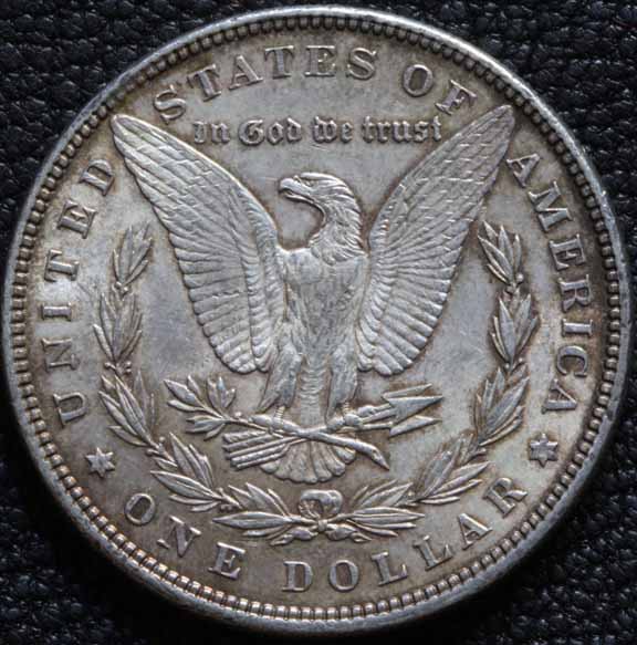28-Days-Of-Morgans
