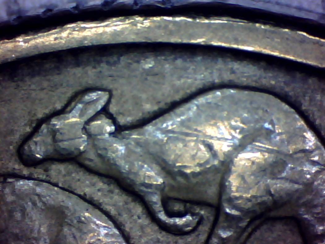 Rabbit-Ear?