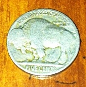 Need-Advice-With-Buffalo-Nickle