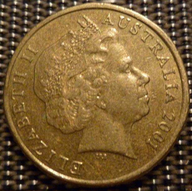 Noodling-Find-Of-The-Week?