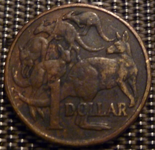 Noodling-Find-Of-The-Week?
