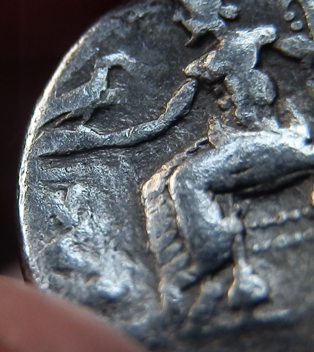 My-First-Ancient-Purchase---Alexander-III-Tetradrachm