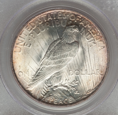The-11-Days-Of-Peace-Dollars-Part-2!