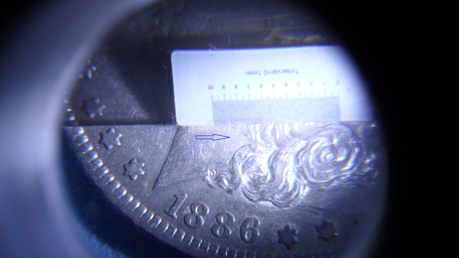 1886-O-Morgan...i-Think-I-Identified-My-1-St-VAM-: