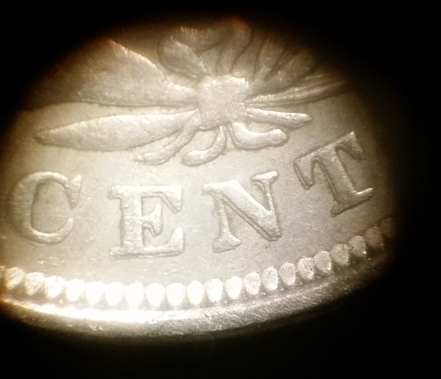 The-45-Days-Of-Shield-And-Liberty-Head-Nickels!!