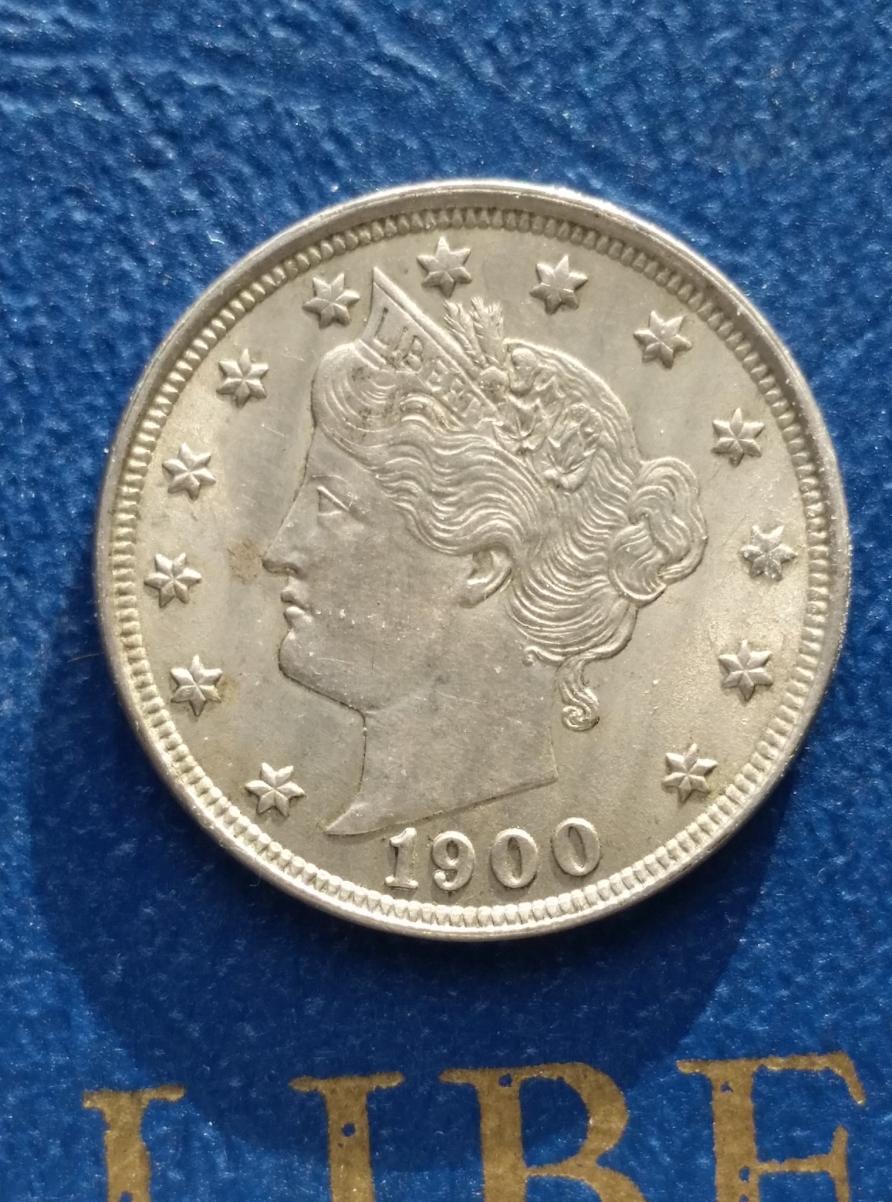The-45-Days-Of-Shield-And-Liberty-Head-Nickels!!