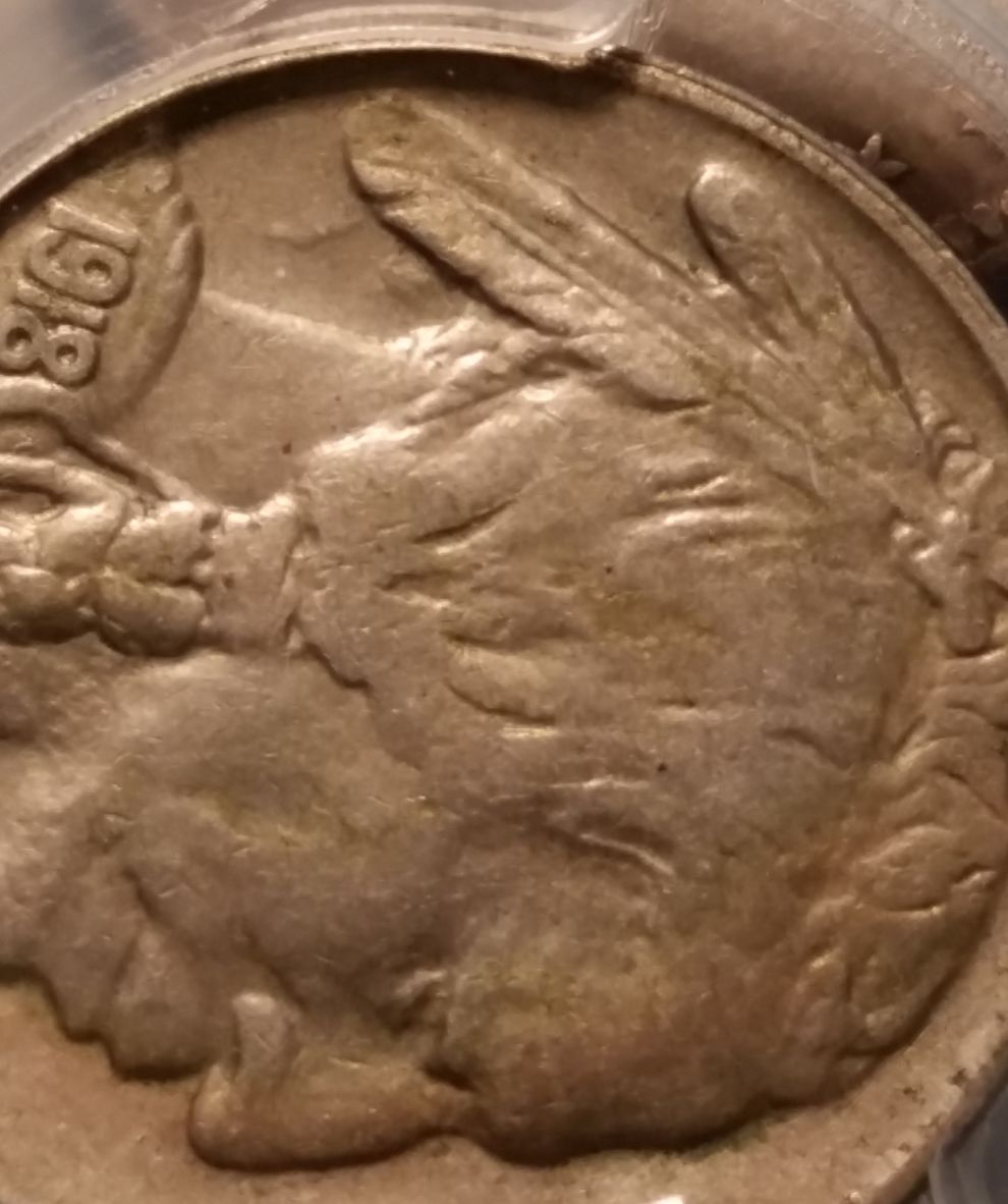 1918-S-Buffalo-Nickel-You-Vs.-PCGS