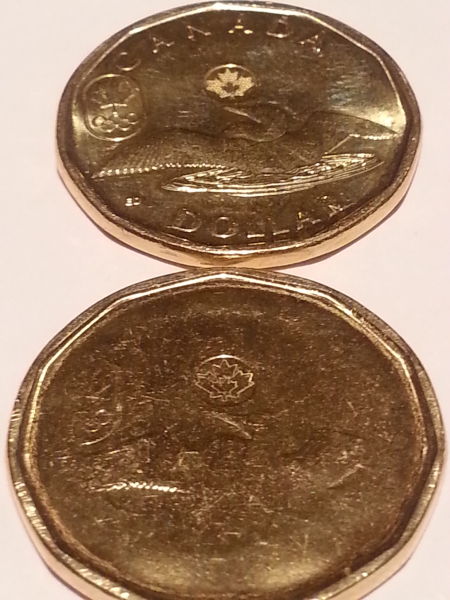 2014-Lucky-Loonie-Error
