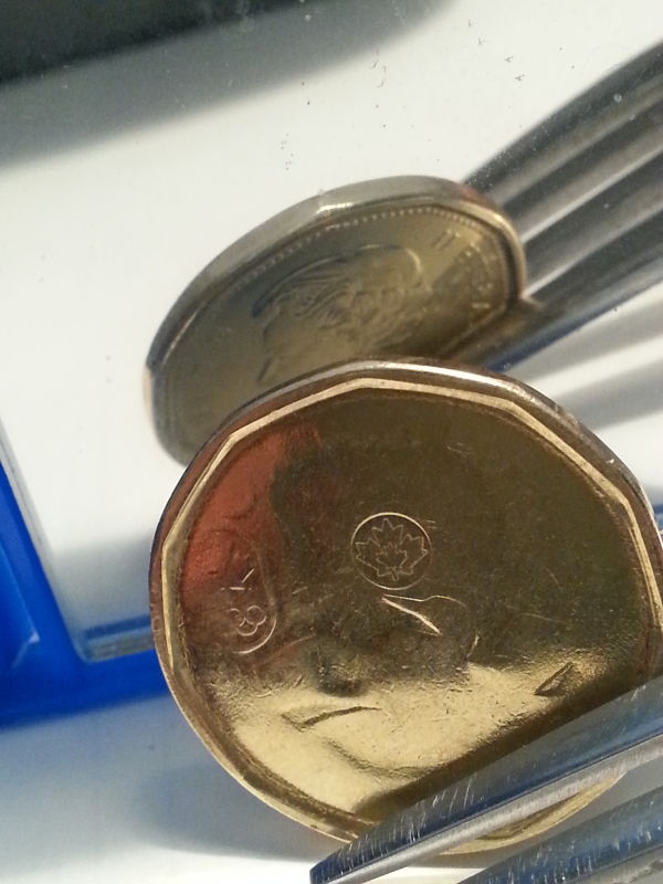 2014-Lucky-Loonie-Error