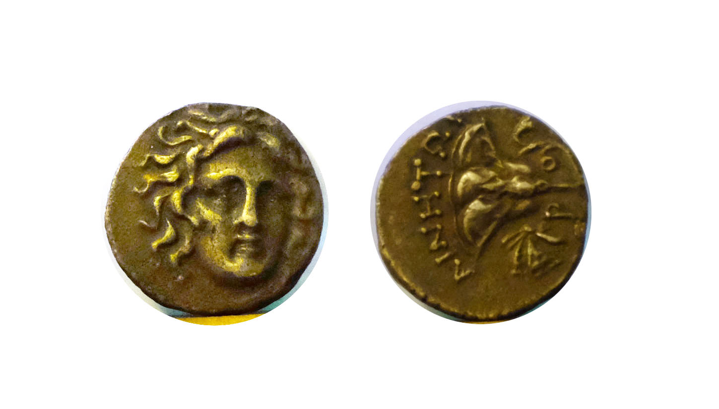 Small-Silver-Ancients?