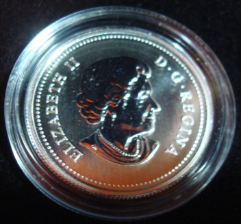 What-Do-You-Think?---Local-Auction-Buys
