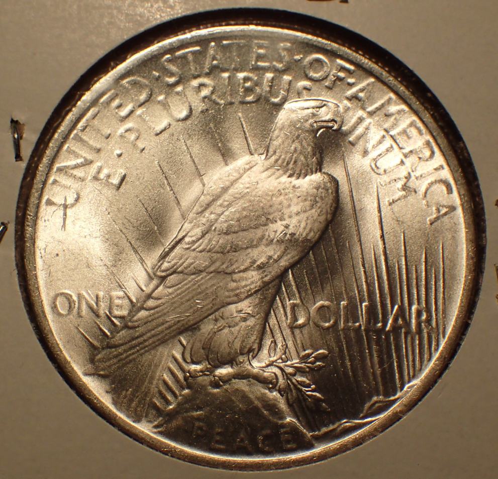 My-First-Peace-Dollar