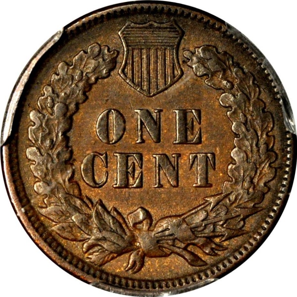 Unique-Indian-Cent-Variety