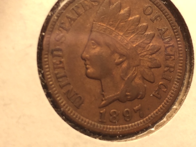 Unique-Indian-Cent-Variety