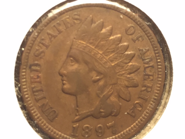 Unique-Indian-Cent-Variety