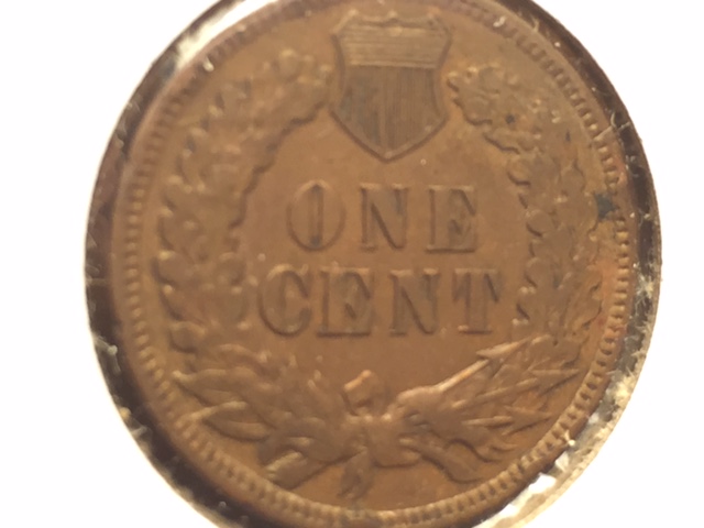 Unique-Indian-Cent-Variety