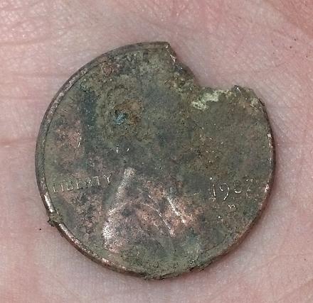 My-First-Coin-Find!
