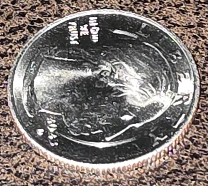 2023-D-Eleanor-Roosevelt-P.-Not-Sure-If-It's-A-Mint-Error-Or-Post-Mint-Damage