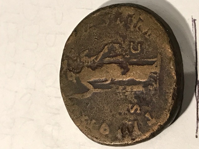 Identification-Help-Please-And-Thank-You!