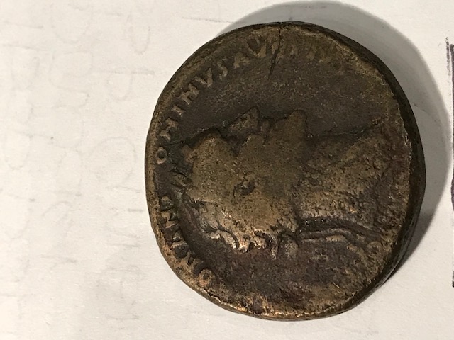Identification-Help-Please-And-Thank-You!