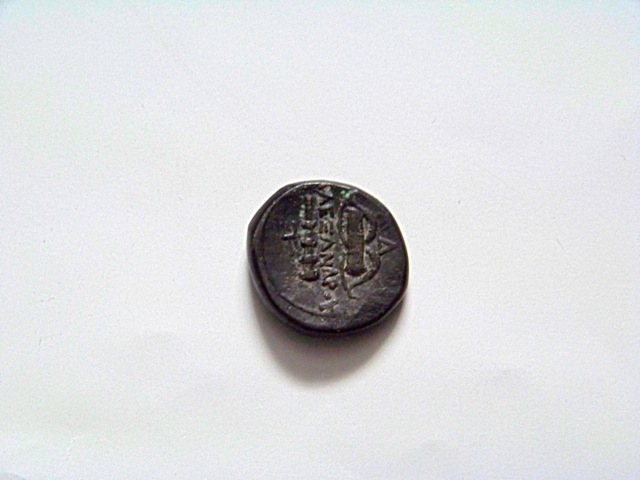 Alexander-Coins