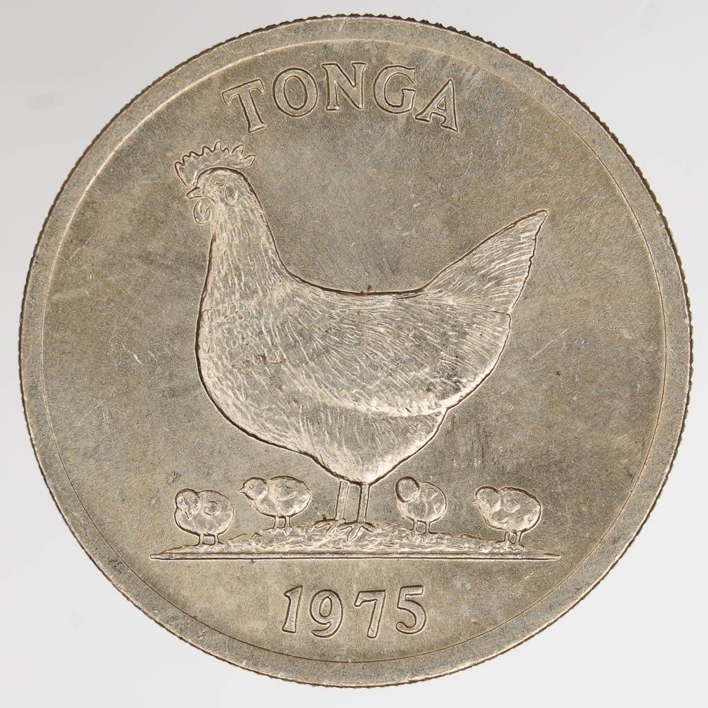 Show-Your-Coins-With-Fruit.