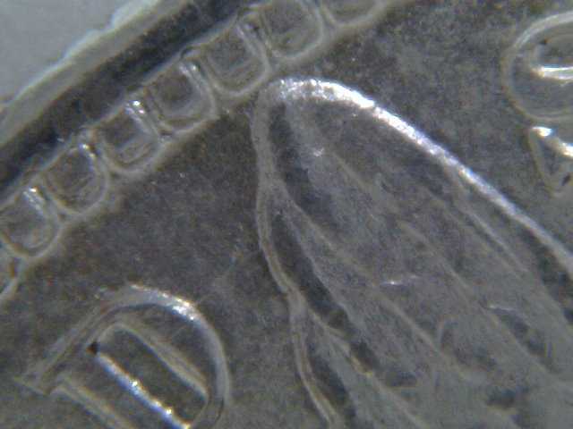 1880-O-Morgan-For-Grading