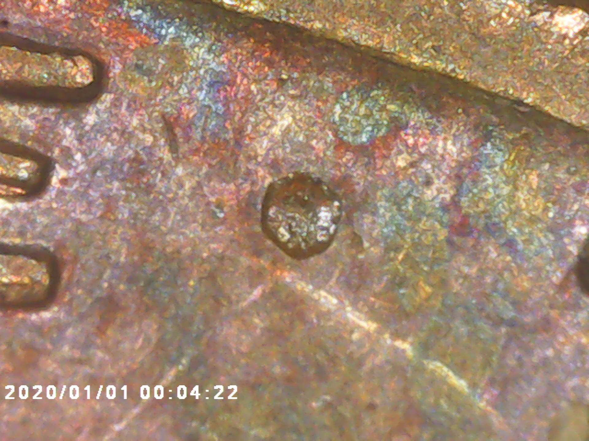 Is-This-A-Dot-Between-We-And-Trust-On-A-1951-D-Penny-?