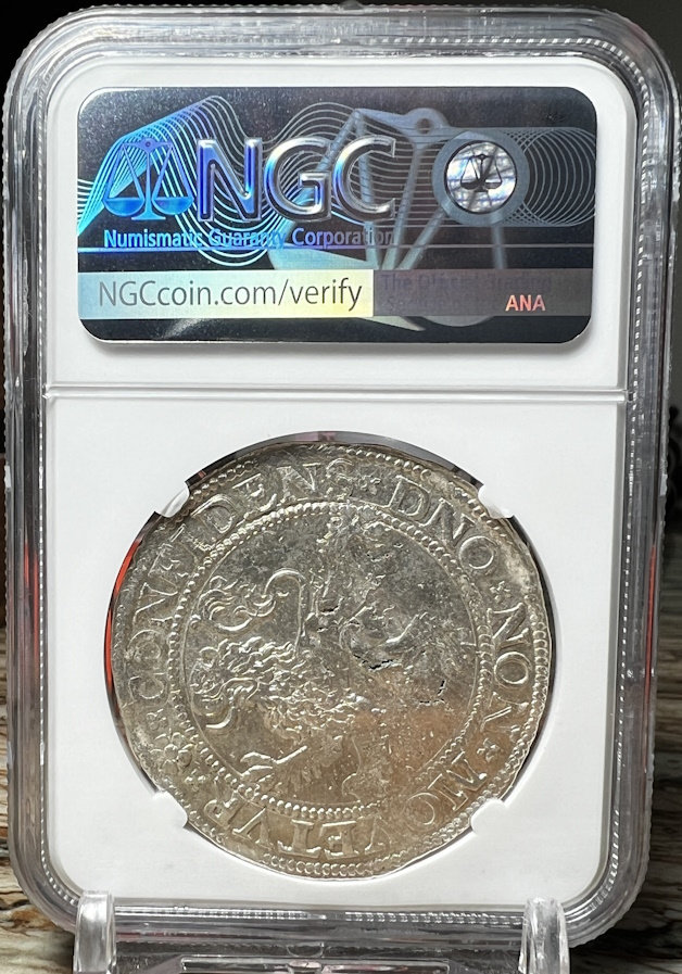 Continuing-List-To-Show-Everyones-Latest-Acquisitions