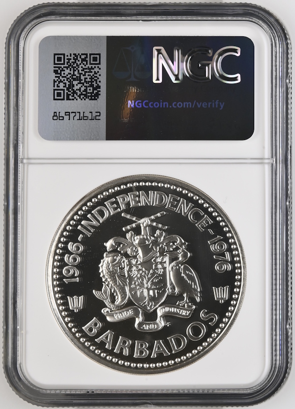 Continuing-List-To-Show-Everyones-Latest-Acquisitions