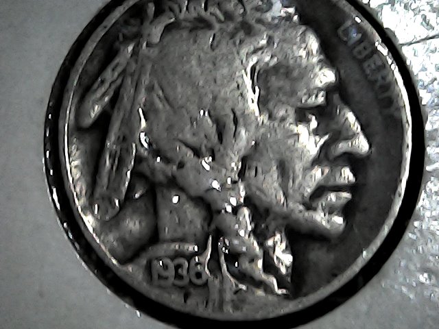 Help-Please-3.5-Legg,-3-1/2-Legged-Buffalo-1936-D