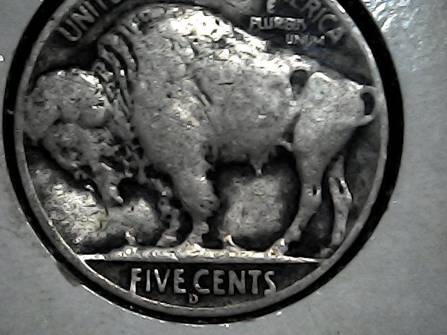 Help-Please-3.5-Legg,-3-1/2-Legged-Buffalo-1936-D